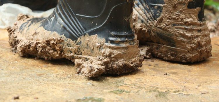How to remove mud from carpet